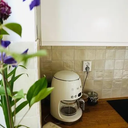 Tiny House Aan Zee * Noordwijk