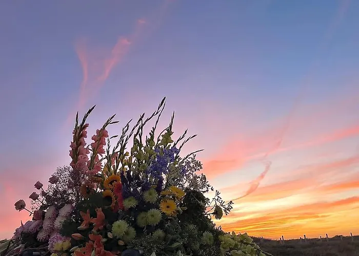 Tiny House Aan Zee * Noordwijk