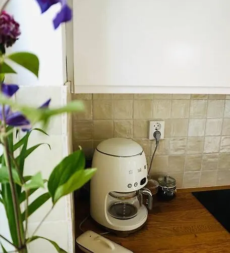 Tiny House Aan Zee * Noordwijk