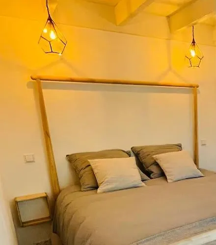 Tiny House Aan Zee Noordwijk